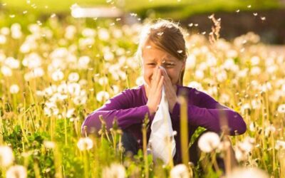 Alergias en primavera